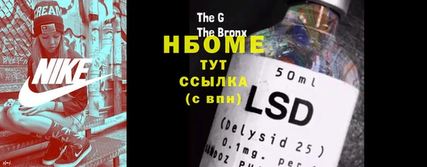 ECSTASY Алзамай