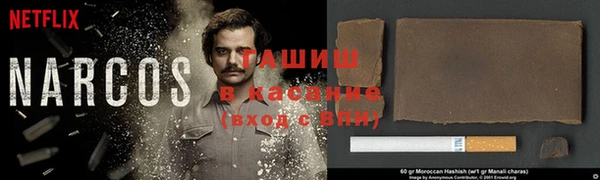 ECSTASY Алзамай