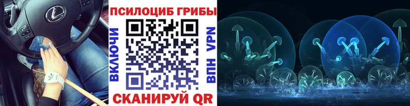 Псилоцибиновые грибы мицелий  Сосенский 
